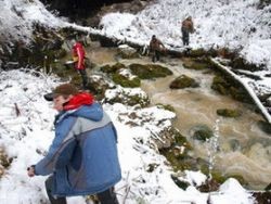 Российский охотник заявил, что спас снежного человека